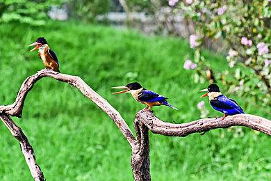 4060Ti显卡IGN 6分：性能同3060Ti相比提升不大